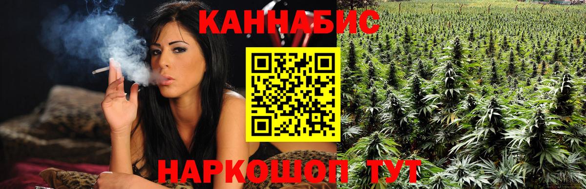 Канабис Amnesia  Вход с VPN  Чехов  Марихуана ГИДРОПОН  Бошки марихуана гибрид 